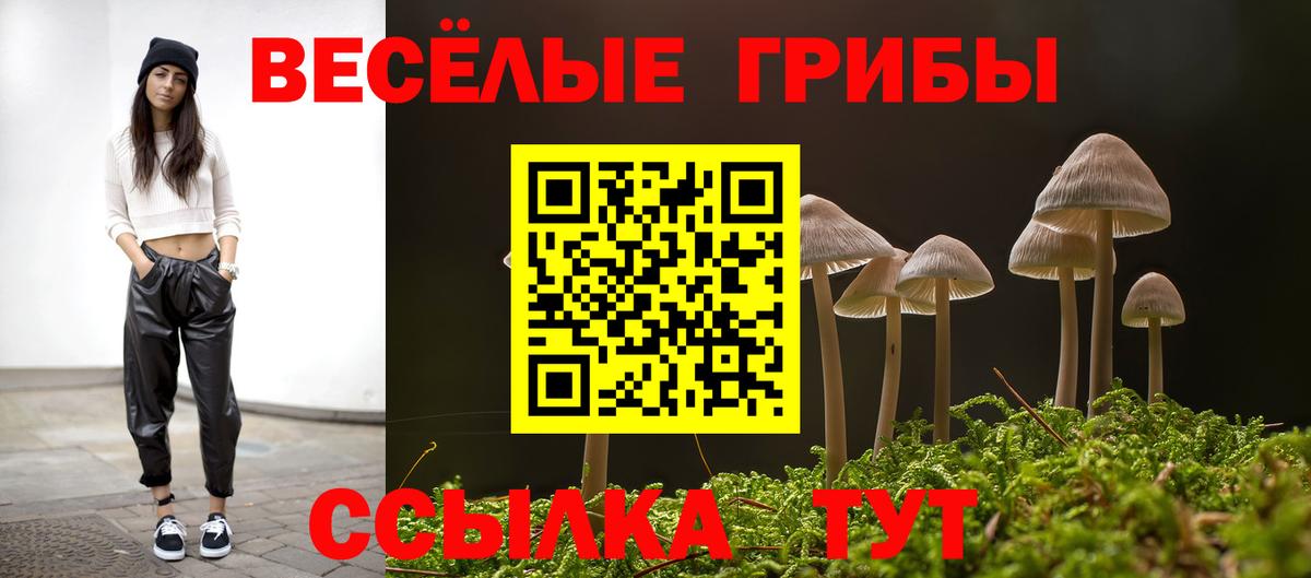 Галлюциногенные грибы Magic Shrooms Топки