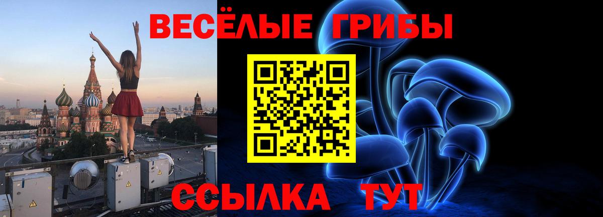 Галлюциногенные грибы ЛСД  Псилоцибиновые грибы Psilocybe  Топки  Вход с VPN 
